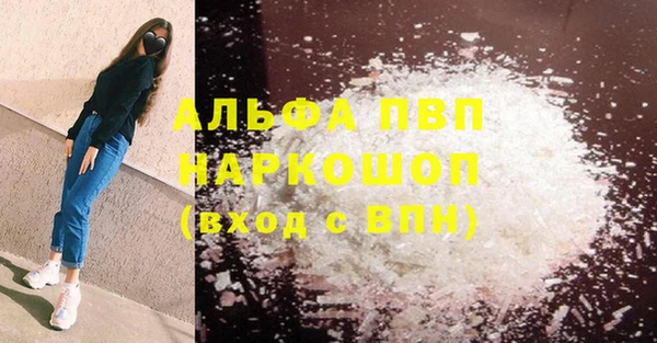 гидра Абаза